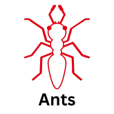 Ant icon in red