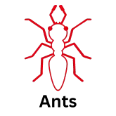 Ant icon in red