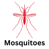 Mosquito Icon