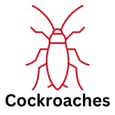 Cockroach icon