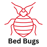 bed bug icon with text