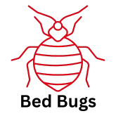 bed bug icon with text