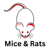 mice and rats icon