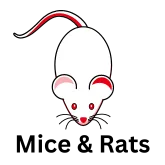 mice and rats icon
