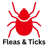 flea & tick