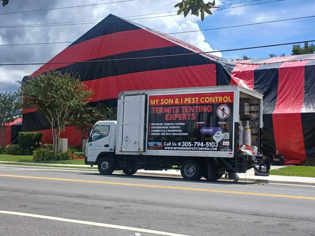 termite and pest control specialists