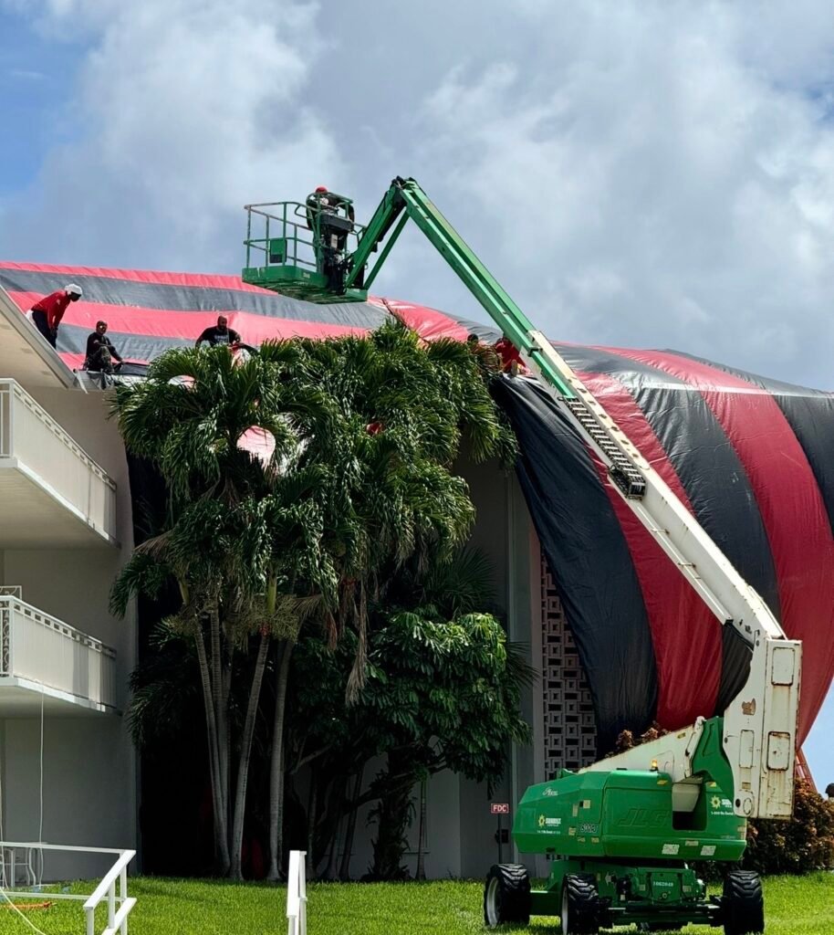 Tampa Bay Termite Fumigation Experts