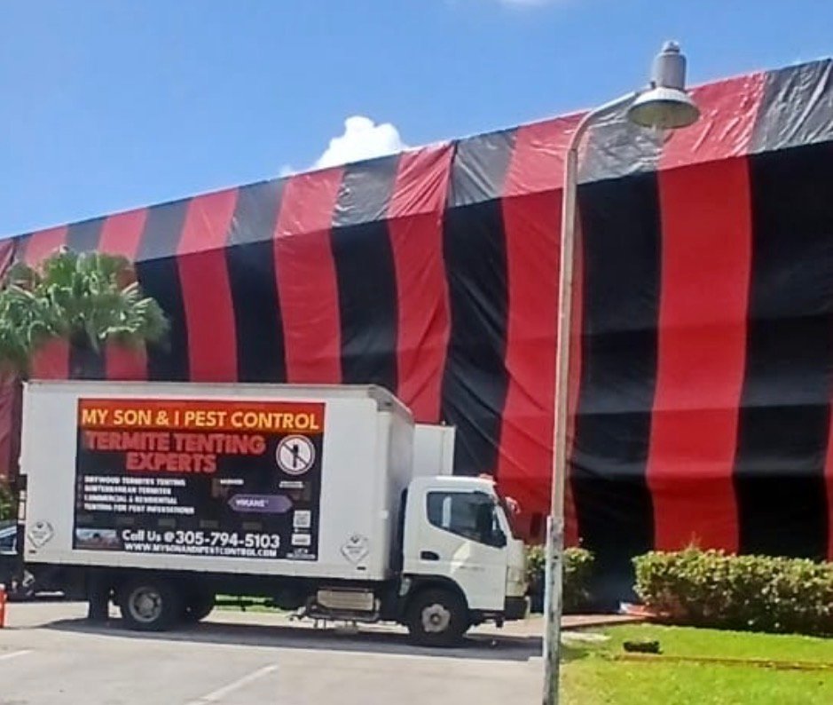 termite fumigation and drywood termite tenting