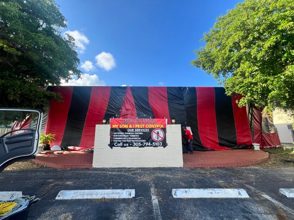 Formosan termites treatments termite tenting costs