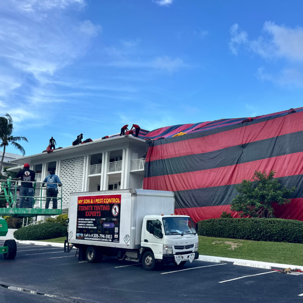 South Florida termite fumigation