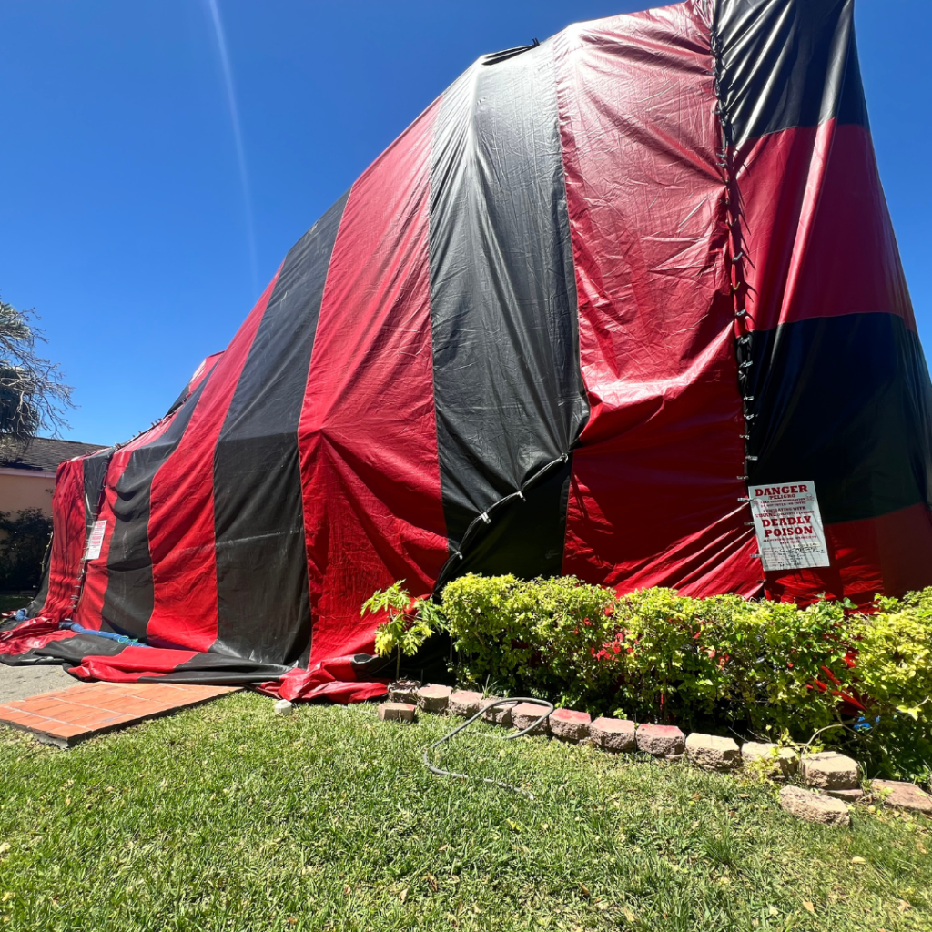 South Florida termite fumigation tenting home