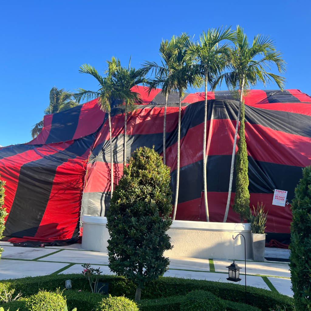 Florida termite fumigation experts