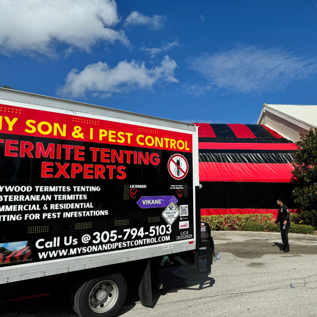 Florida Termite Fumigation Professionals