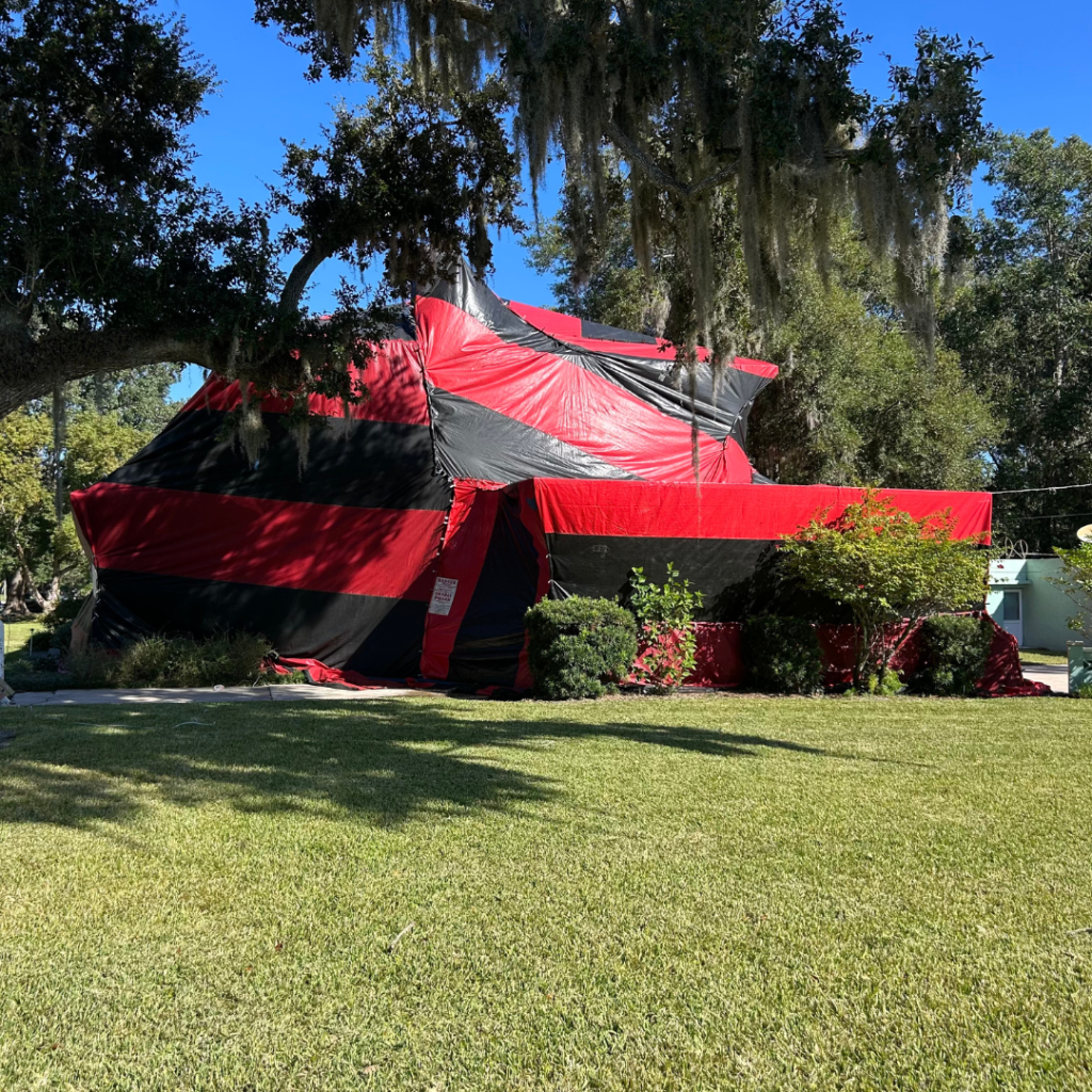 Tampa Bay Termite Fumigation Experts