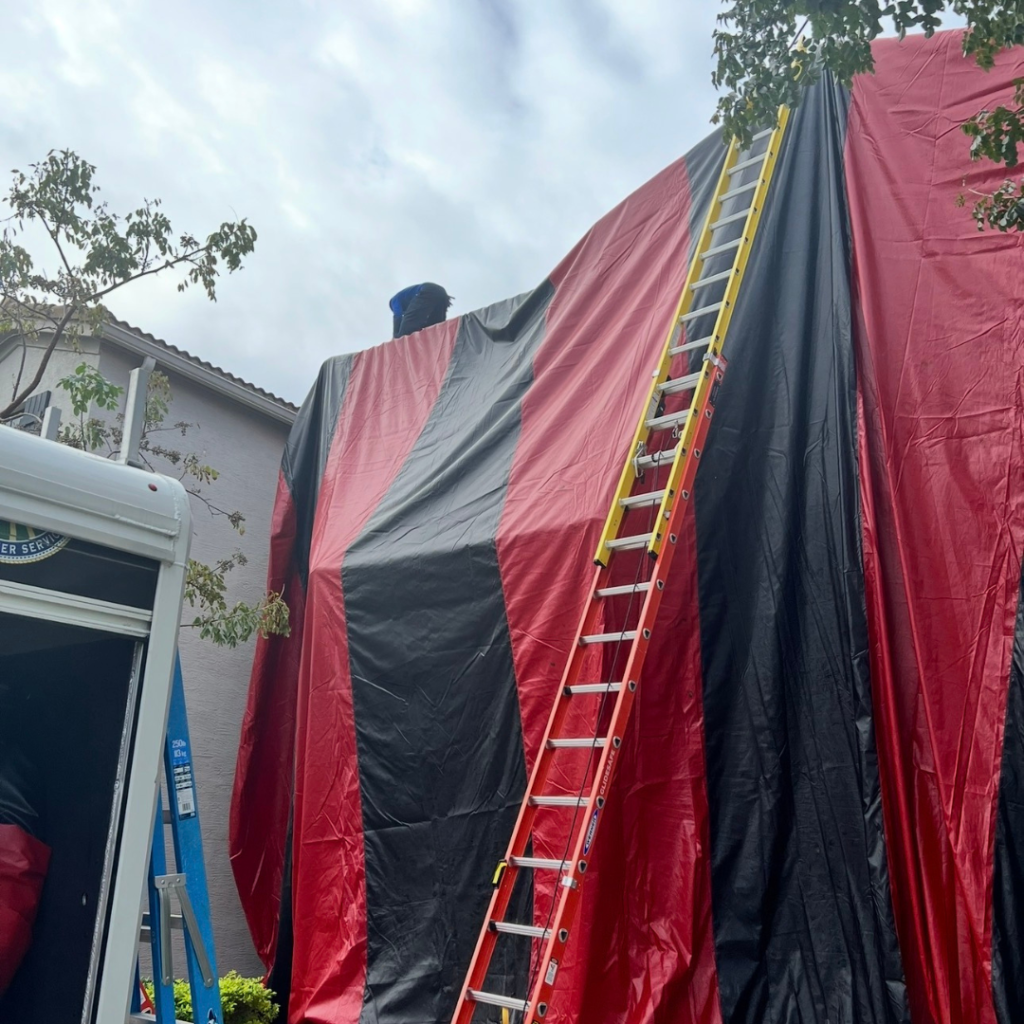 Tampa Bay Termite Fumigation Professionals