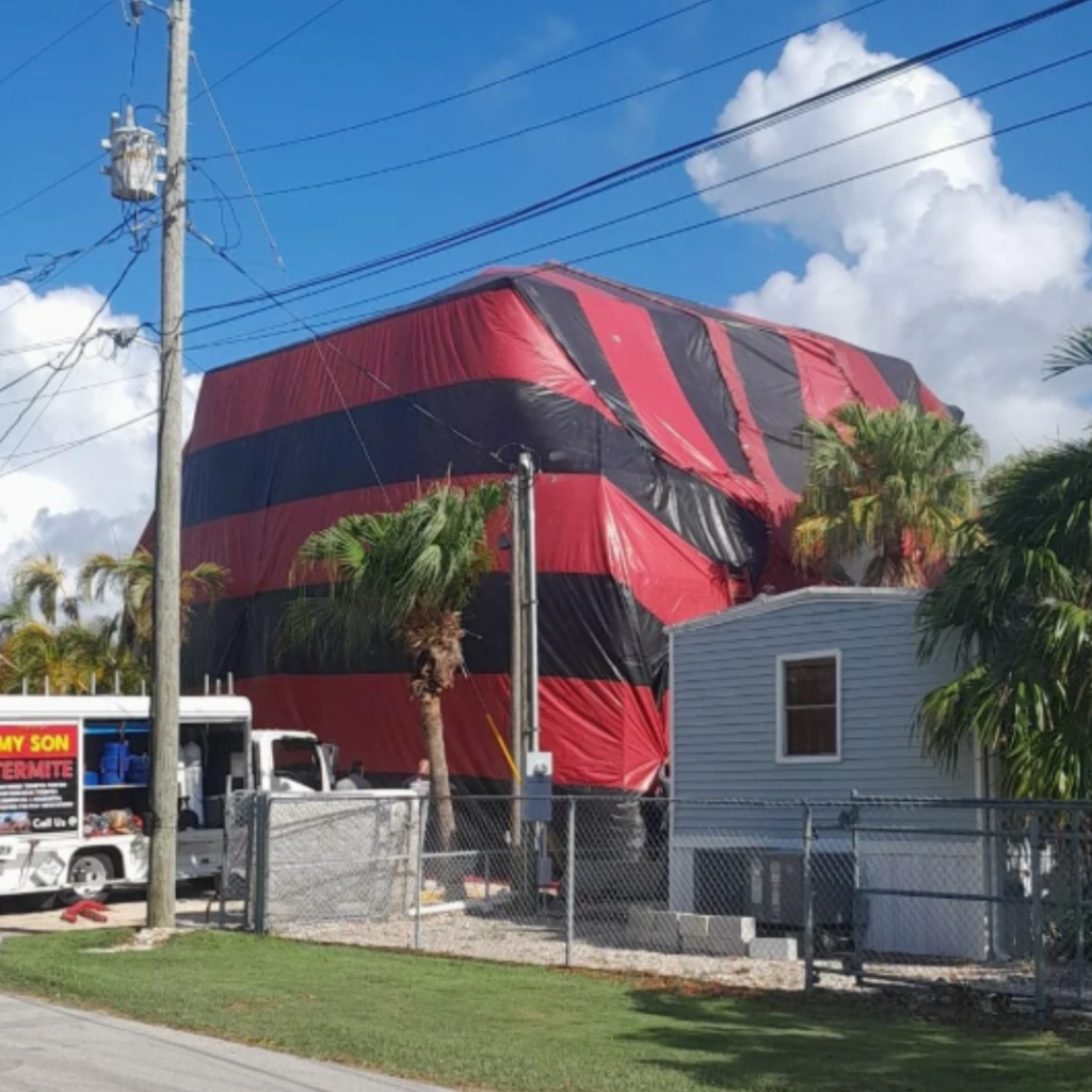 termite control & fumigation